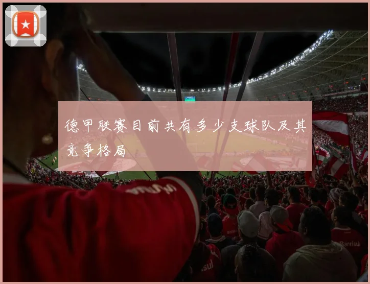 德甲联赛目前共有多少支球队及其竞争格局