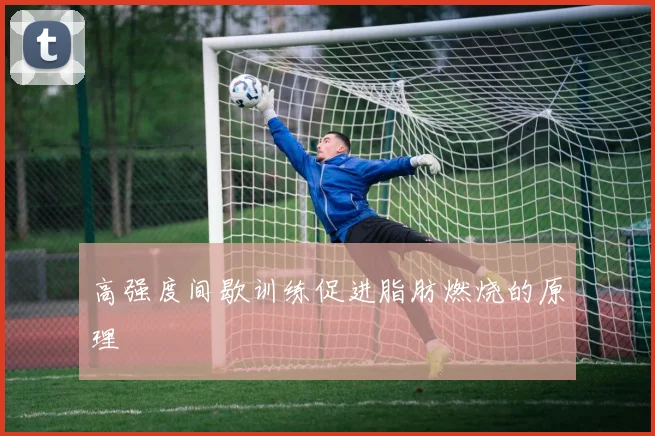 高强度间歇训练促进脂肪燃烧的原理