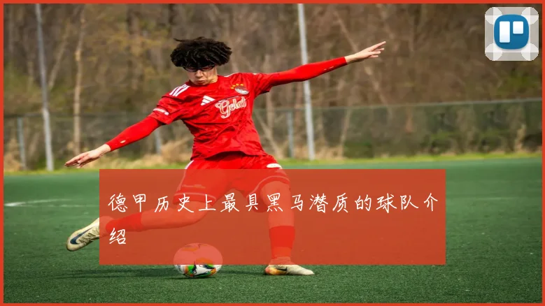 德甲历史上最具黑马潜质的球队介绍