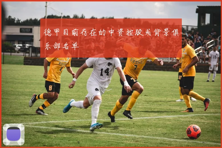 德甲目前存在的中资控股或背景俱乐部名单