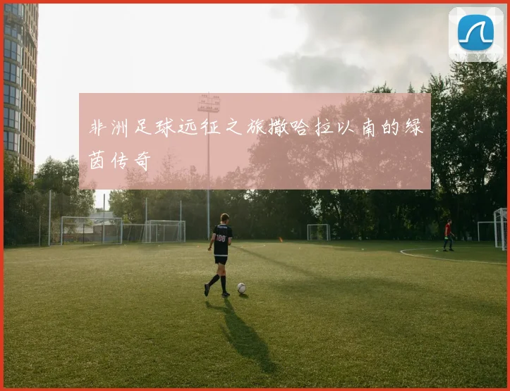 非洲足球远征之旅撒哈拉以南的绿茵传奇