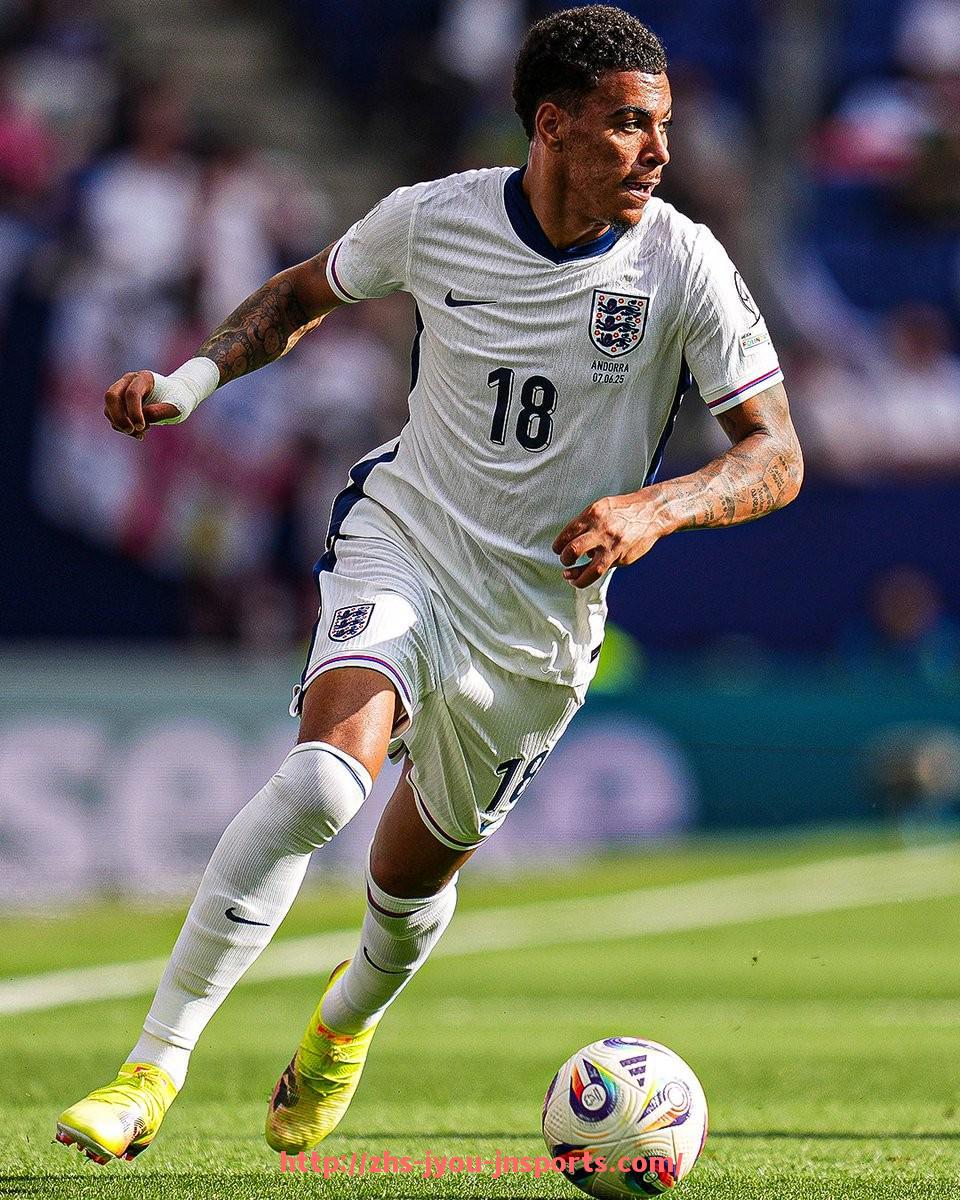 jiuyou九游娱乐-老一代意甲球队历史资料整合